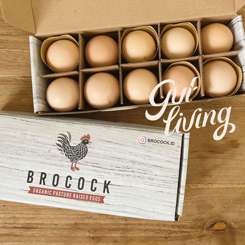 Telur Organik Brocock Pasture Raised Free Range - Image 3