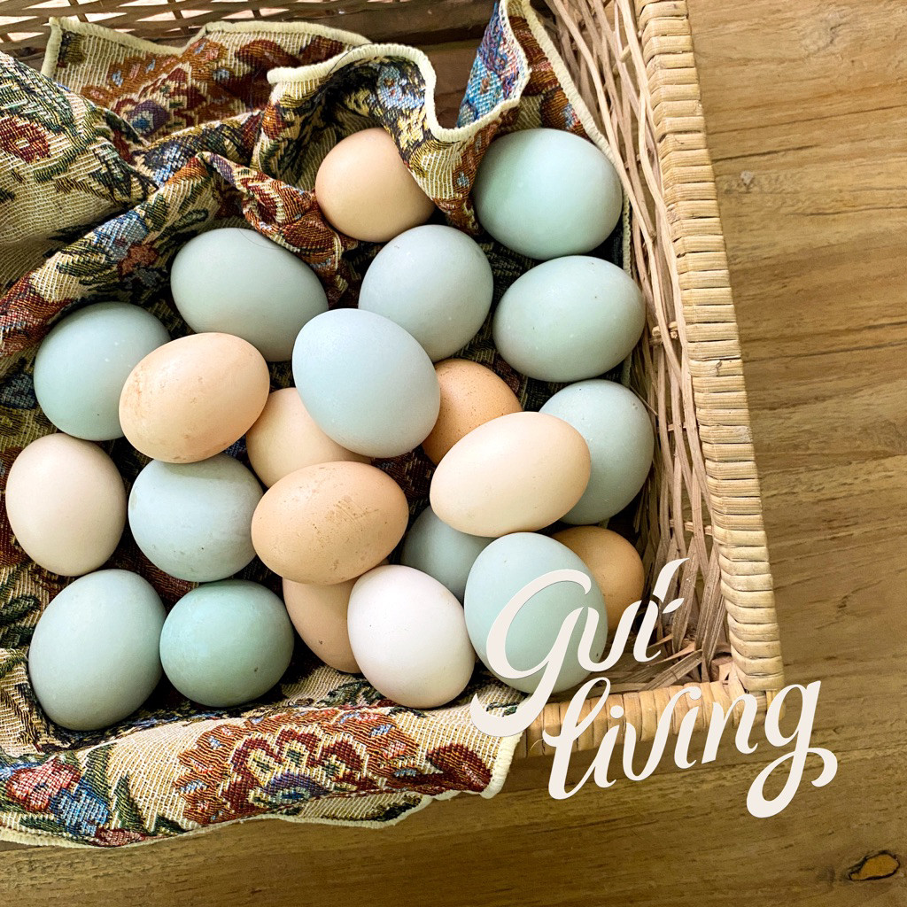 Telur Organik Brocock Pasture Raised Free Range