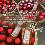 Kombucha Halal Organik Fermented Drink Gut Living
