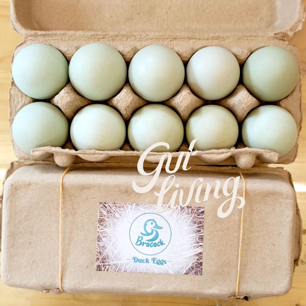 Telur Organik Brocock Pasture Raised Free Range - Image 9